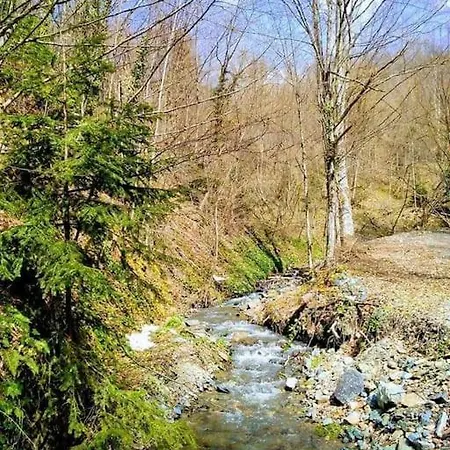 Iskrina Kucica Goc Holiday home *