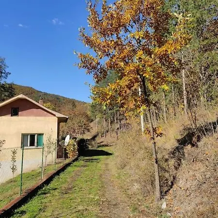 Iskrina Kucica Goc Holiday home Kamenica (Kraljevo)